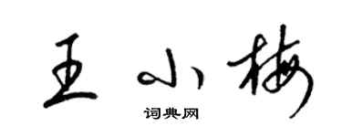 梁錦英王小梅草書個性簽名怎么寫