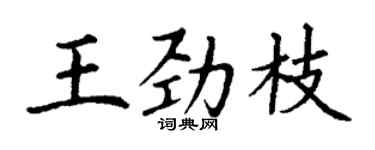 丁謙王勁枝楷書個性簽名怎么寫