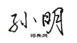 駱恆光孫明行書個性簽名怎么寫