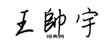 王正良王帥宇行書個性簽名怎么寫