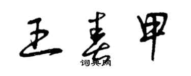 曾慶福王春甲草書個性簽名怎么寫