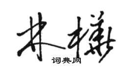 駱恆光林樺草書個性簽名怎么寫