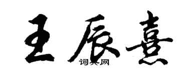 胡問遂王辰熹行書個性簽名怎么寫