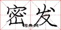 龐中華密發楷書怎么寫