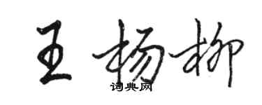 駱恆光王楊柳行書個性簽名怎么寫
