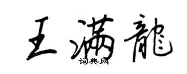 王正良王滿龍行書個性簽名怎么寫