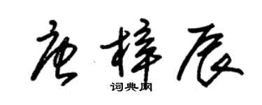 朱錫榮唐梓辰草書個性簽名怎么寫