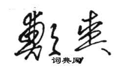 駱恆光鄭爽草書個性簽名怎么寫