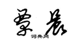 朱錫榮覃晨草書個性簽名怎么寫