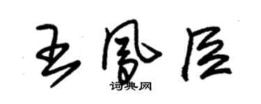 朱錫榮王鳳臣草書個性簽名怎么寫