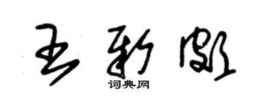 朱錫榮王新頗草書個性簽名怎么寫