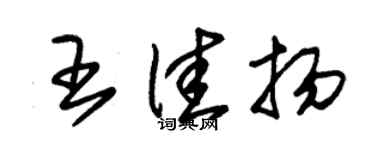 朱錫榮王佳揚草書個性簽名怎么寫