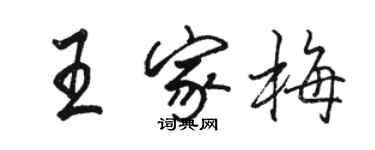 駱恆光王家梅行書個性簽名怎么寫