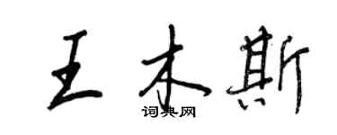 王正良王木斯行書個性簽名怎么寫