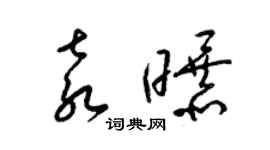 梁錦英袁曝草書個性簽名怎么寫