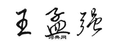 駱恆光王孟強行書個性簽名怎么寫