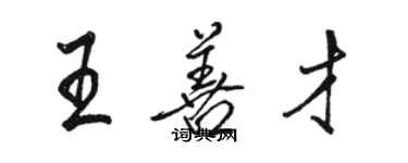 駱恆光王善才行書個性簽名怎么寫