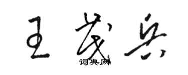 駱恆光王茂兵草書個性簽名怎么寫