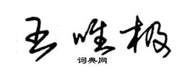 朱錫榮王唯極草書個性簽名怎么寫