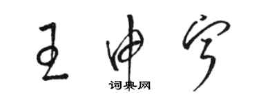 駱恆光王申寧草書個性簽名怎么寫