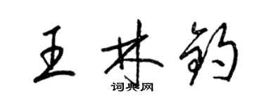 梁錦英王林鈞草書個性簽名怎么寫