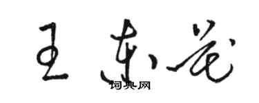 駱恆光王東花草書個性簽名怎么寫