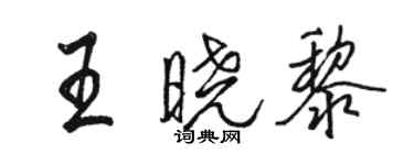 駱恆光王曉黎行書個性簽名怎么寫