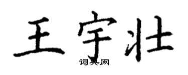丁謙王宇壯楷書個性簽名怎么寫