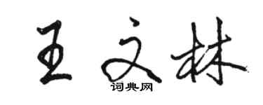 駱恆光王文林行書個性簽名怎么寫