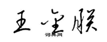梁錦英王金朕草書個性簽名怎么寫