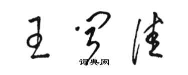 駱恆光王聞佳草書個性簽名怎么寫