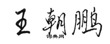 駱恆光王朝鵬行書個性簽名怎么寫