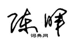 朱錫榮陳暉草書個性簽名怎么寫