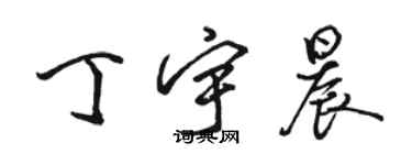 駱恆光丁宇晨行書個性簽名怎么寫