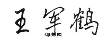 駱恆光王軍鶴行書個性簽名怎么寫