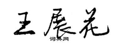 曾慶福王展花行書個性簽名怎么寫