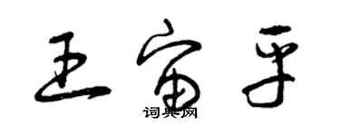 曾慶福王宙平草書個性簽名怎么寫