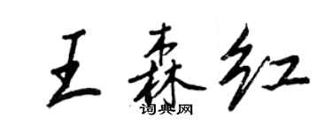 王正良王森紅行書個性簽名怎么寫