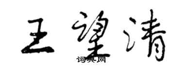 曾慶福王望清行書個性簽名怎么寫