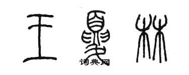 陳墨王夏林篆書個性簽名怎么寫