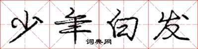龐中華少年白髮行書怎么寫