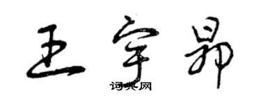 曾慶福王宇昂草書個性簽名怎么寫