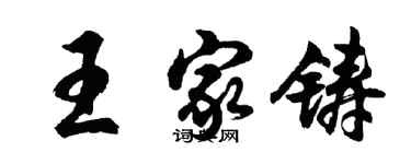 胡問遂王家鑄行書個性簽名怎么寫