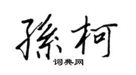 王正良孫柯行書個性簽名怎么寫