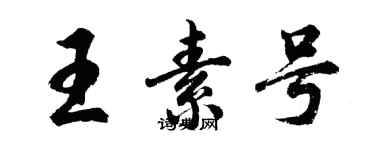 胡問遂王素號行書個性簽名怎么寫