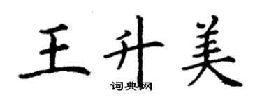 丁謙王升美楷書個性簽名怎么寫