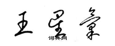 梁錦英王星匯草書個性簽名怎么寫