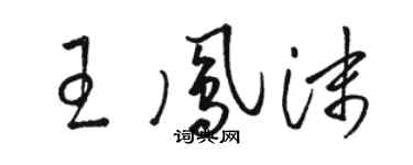 駱恆光王鳳沫草書個性簽名怎么寫