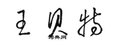 駱恆光王貝特草書個性簽名怎么寫