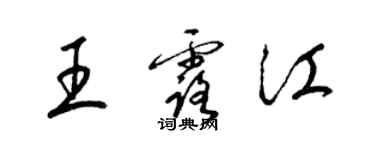 梁錦英王露江草書個性簽名怎么寫